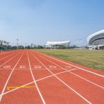 Soundproof Synthetic Sports Flooring Colorful Polyurethane Binder EPDM Rubber