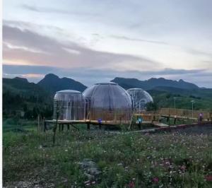 Quality Insulated Glass Bubble Tent Energy Efficient Dome Igloo Bubble Tent wholesale