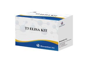 Quality Triiodothyronine T3 Elisa Test Kit 96 Tests Elisa Blood Serum Test wholesale