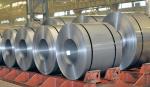 EM BS Zinc Coated Prime Hot Dipped Galvanized Steel Coils