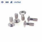 High Quality Customized Precision Stainless Steel Screws Phillps Head Screw Bolt