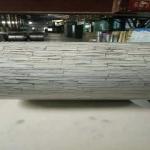 G550 Pre Painted Decorative PPGI Steel Coil 914mm