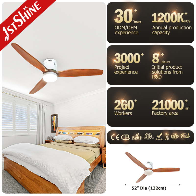 ceiling fan