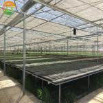 PC Greenhouse for Multi-Span Agricultural Greenhouses Section 8.0m Strong