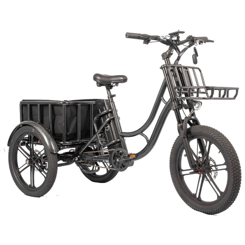 Customized Color Electric Fat Tire ebike 48V 500W Motor LCD Display Family Cargo Bike