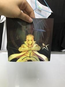 Quality 3D 0.4mm TPU Clothes Patch Custom Lenticular Printing wholesale