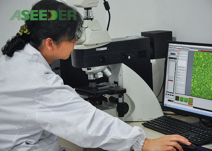 HIP Sintering Tungsten Carbide TC Radial To Improve Mud Motor Performance