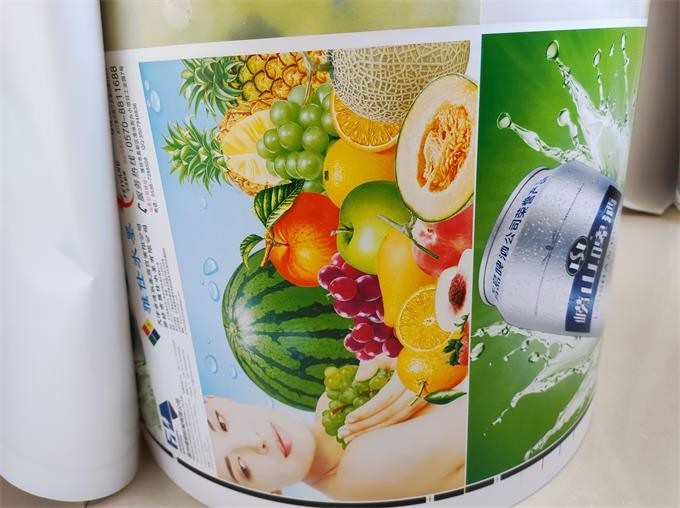 Efficiently Designed Paper Bag Roll to Roll Flexo Printing Machine with IR Dryer