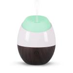 Essential Oil 12W Air USB Ultrasonic Air Diffuser
