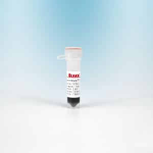 Quality NHS Magnetic Polymer Beads Preactivated N - Hydroxy Succinimide Nanoparticle 2 μm wholesale