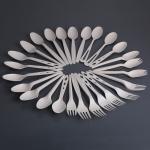 Plastic Disposable Biodegradable Pla Spoon
