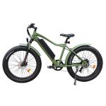 26" Fat Tyre MTB E Bike 48V 500-750W 13AH Battery Electric Bicycle Combo Set