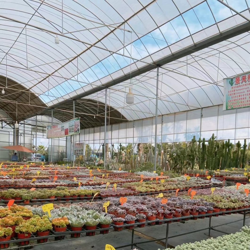 Innovative Multi Span Greenhouse