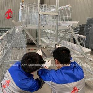 Quality Feeding Trough Of Chicken Poultry Farming Cage System In Nigeria Ghana Zambia Cameroon Farm Doris wholesale