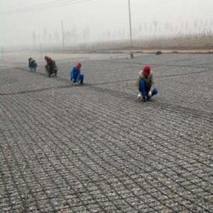 Quality CE/ISO9001/ISO14001 Certified Geogrids for Road Airport and Retaining Wall Reinforcement wholesale