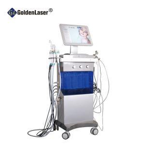Quality 10 In 1 Hydrafacial Cleaning Machine Microdermabrasion Hydra Small Bubble Cleaning wholesale