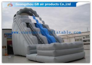 Quality Kids / Adults Double Inflatable Water Slide With Small Pool For Summer Games wholesale