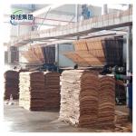 8000 KG Vertical Wood Panel Belt Conveyor Drying Equipment for Olive Wood Slices