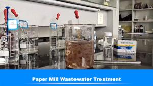 Quality Papermaking Industry Water Decolouring Agent Wastewater Effluent Treatment wholesale