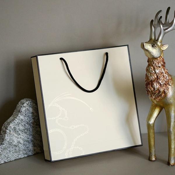 Custom Logo Printed Luxury Gift Paper Bag Jewelry White Cardboard Shopping Paper