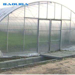 Quality Single Span High Tunnel Plastic Greenhouse With Roof Ventilation System wholesale