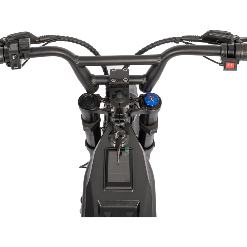 Dirt Bike MTB Electric Bike 2000W with Max Speed 30-50Km/h and 20Ah Battery Capacity