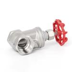 Stainless Steel DN20 Gate Valve for Water Industrial Usage Threaded SS304