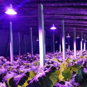 Quality Samsung LED Type Full Spectrum Grow Light for Greenhouse 36w 45w 50w E27 wholesale