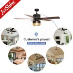 Downrod Mount Remote Control Cage Ceiling Fan 20in With Light