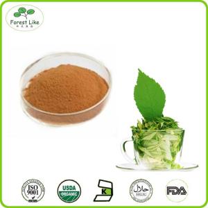 Quality Organic Natural Green Tea Extract 98% Tea Polyphenol wholesale