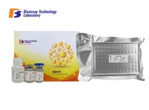 Quality Customized Rat Insulin Like Groeth Factor Binding Protein 3 ELISA Kit 96 Wells IGFBP3 Sandwich ELISA Kit wholesale