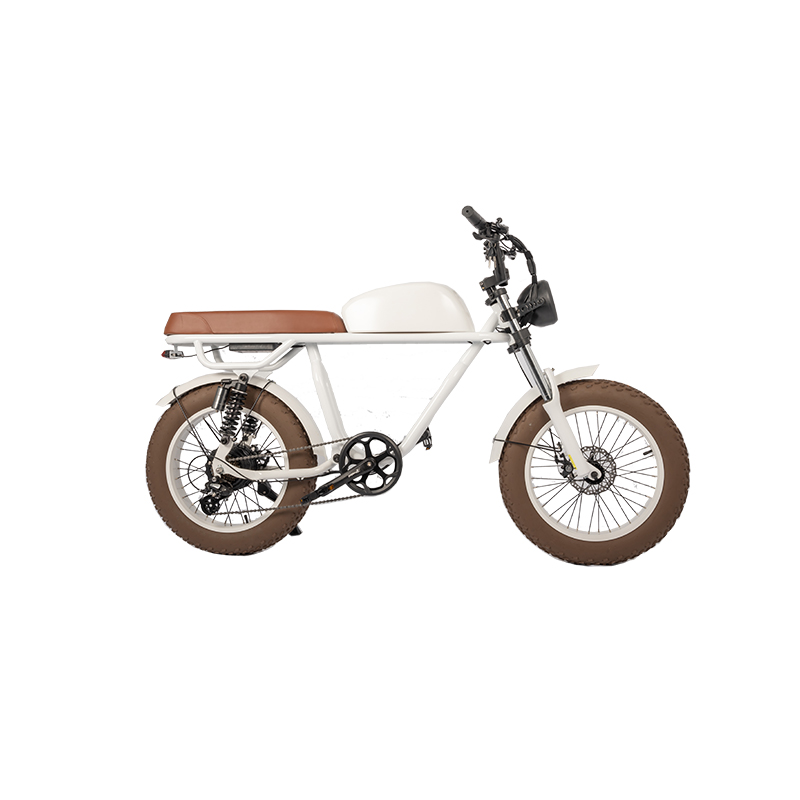 Vintage Moto Style Electric Bike Fat Tire Ebike with 750W 1000W Motor LCD Display