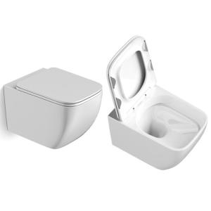 Quality Washdown P Trap Wall Hung Toilet Elongated With Concealed Cistern wholesale