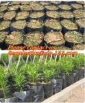 Horticulture, NURSERY, PLANTER, SEED, PLASTIC GROW BAGS, HYDROPONICS, FLOWERPOTS