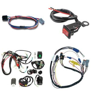 Quality 10-15 Days Lead Time Custom 2500 W Electric Scooter Wiring Harness for Oceania Market wholesale