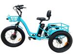 7 Speed 3 Wheel Electric Tricycle 24 Inch 48V 500W Fat Tire Electric Trike For