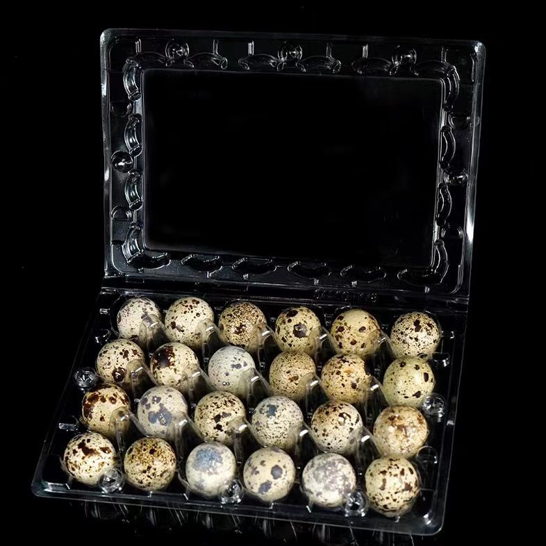 Customized 20 Holes Plastic Egg Packaging Disposable Quail Egg Containers