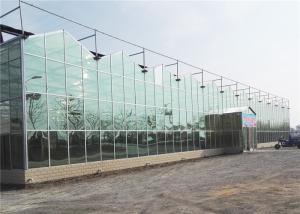 Quality Modern Design Agricultural Glass Greenhouse 3m - 6m Side Height Long Service Life wholesale