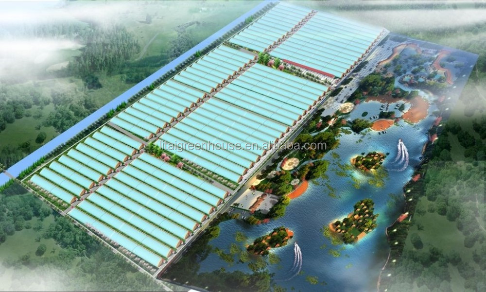 Film Covered Mushroom Cultured Greenhouse for Mushroom Cultivation and Easy Assembly