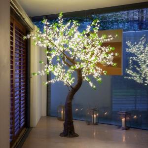Quality led sakura tree light wholesale