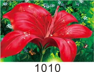 Quality 0.6mm PET+157g Coated Paper 3D Lenticular Pictures With 40*60cm Size wholesale
