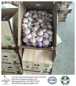 Quality China fresh garlic export to Brazil by Pioneer garlic group.5.5-6.0cm normal white garlic wholesale