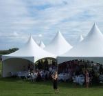 White Spring Top Marquee , Small High Peak Canopy Galvanized Steel Connectors