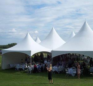 Quality White Spring Top Marquee , Small High Peak Canopy Galvanized Steel Connectors wholesale
