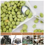 Factory Supply Coated Peanut Roaster Japan Beans Roasting Machine Swing Oven