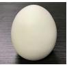 Buy cheap cartoon catoon mini plastic egg Money Boxs, egg piggy bank, egg saving boxs from wholesalers