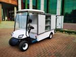 Classic Two Seater Electric Lithium Battery Golf Van Special Vehicle Supports