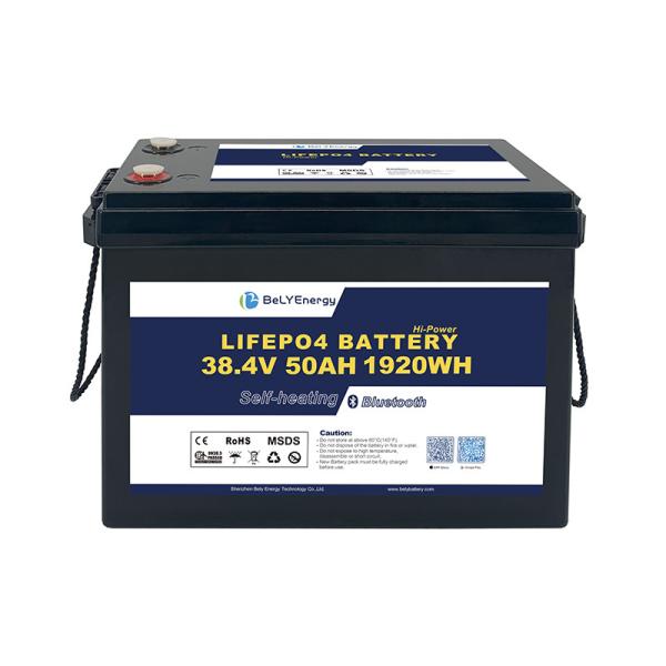 Deep Cycle LiFePO4 Lithium Battery With Smart BMS For Marine/Boat Renewable