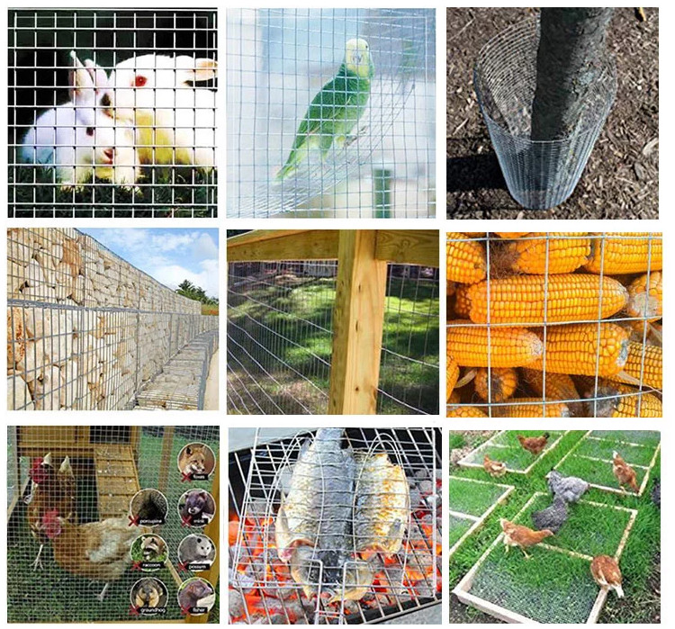 3/8inch Galvanized Welded Wire Panels , Concrete Reinforcing Mesh Roll