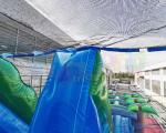 Long Palm Tree Commercial Bounce House Water Slide Multi Color